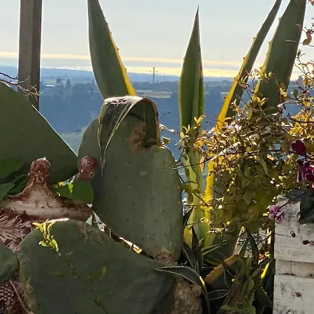 Casa Tipica Siciliana Patronale Tremetrisoprailcielo Con Vista, Colazione Interna In Terrazzo Panoramico