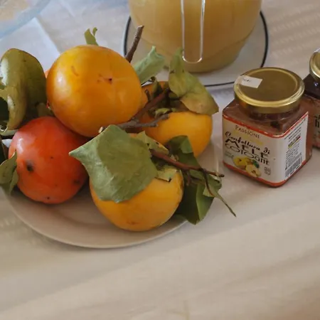 Casa Tipica Siciliana: Panoramic Terrace Bed & Breakfast