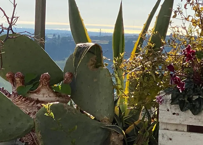Casa Tipica Siciliana Patronale Tremetrisoprailcielo Con Vista, Colazione Interna In Terrazzo Panoramico